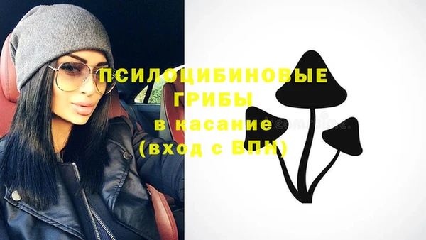 соль ск Аркадак