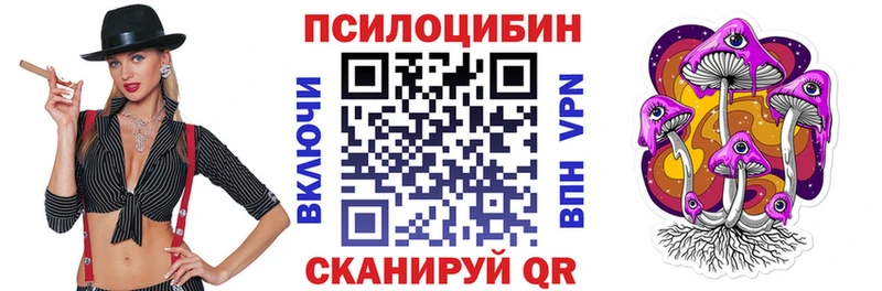 сколько стоит  Плавск  Псилоцибиновые грибы MAGIC MUSHROOMS 