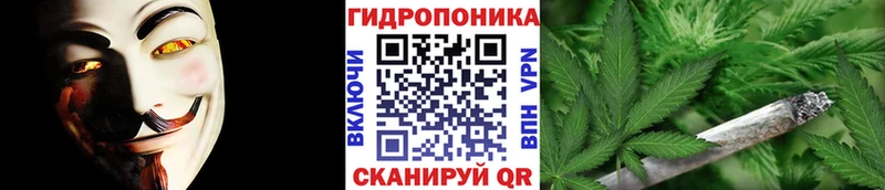где найти наркотики  hydra рабочий сайт  Бошки марихуана марихуана  Плавск 
